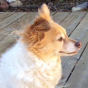 Meet your Posher, Yanick